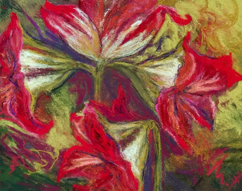 Amaryllis By Morning by artist Joycelyn Schedler